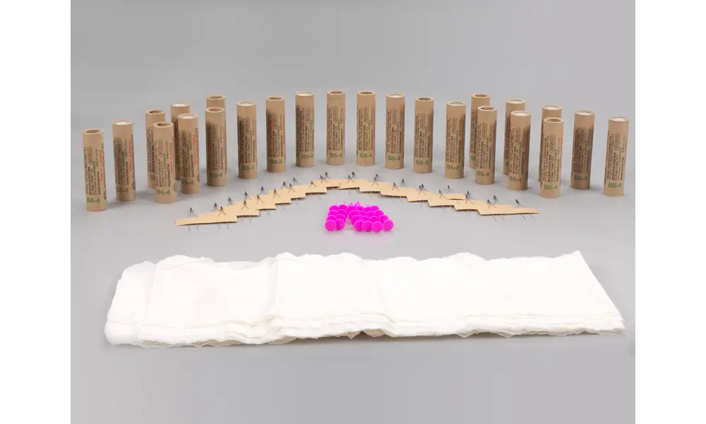 Paquete de equipo a granel Estes B6-4 (24 motores) motores de cohete modelo de 18 mm, Otras opciones de producto: Estes a granel - B6-4 - paquete de 24