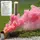 5x Red smoke AX-18 (18mm diameter) model rocketry